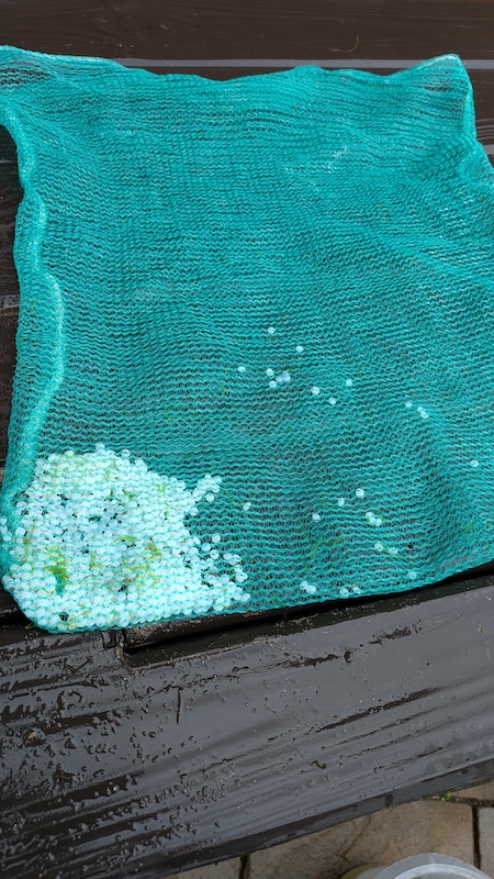 A collection of nurdles in a mesh bag