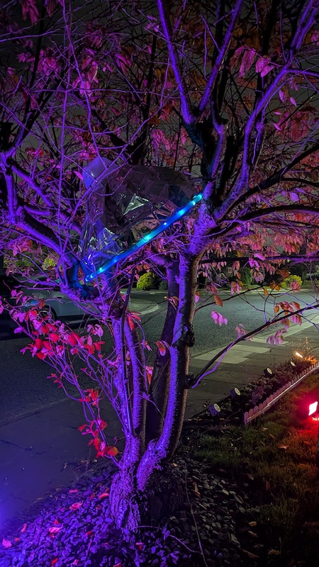 Low-angle view of another UFO crashed and embedded into a tree.